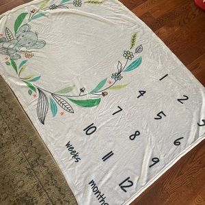 Milestone Blanket